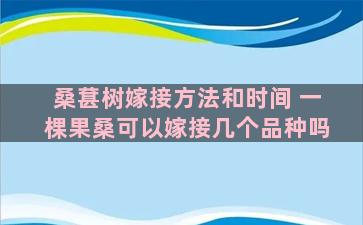 桑葚树嫁接方法和时间 一棵果桑可以嫁接几个品种吗